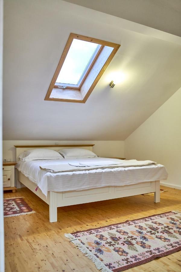 Lavand House Vişeu de Sus Eksteriør billede